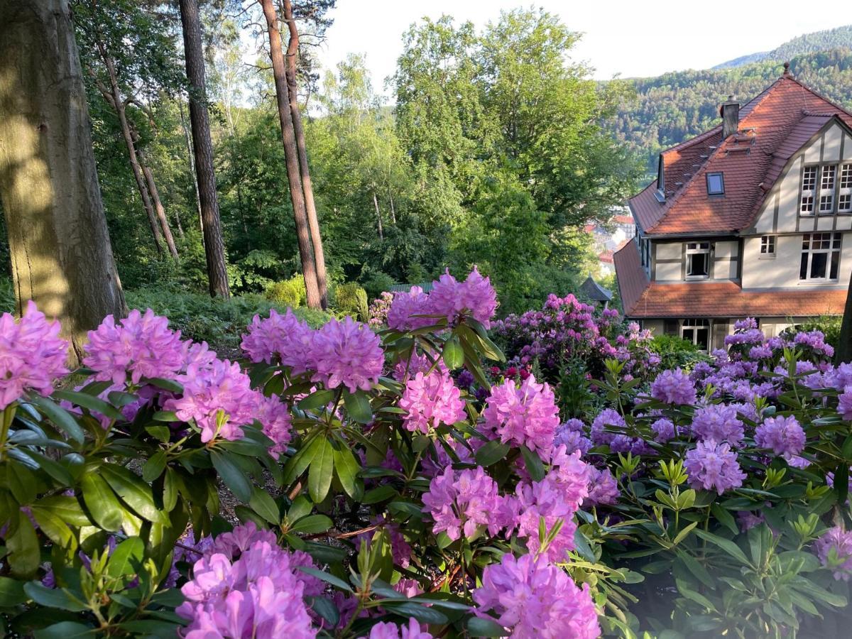 Villa Sonnenburg บาดชานเดา ภายนอก รูปภาพ